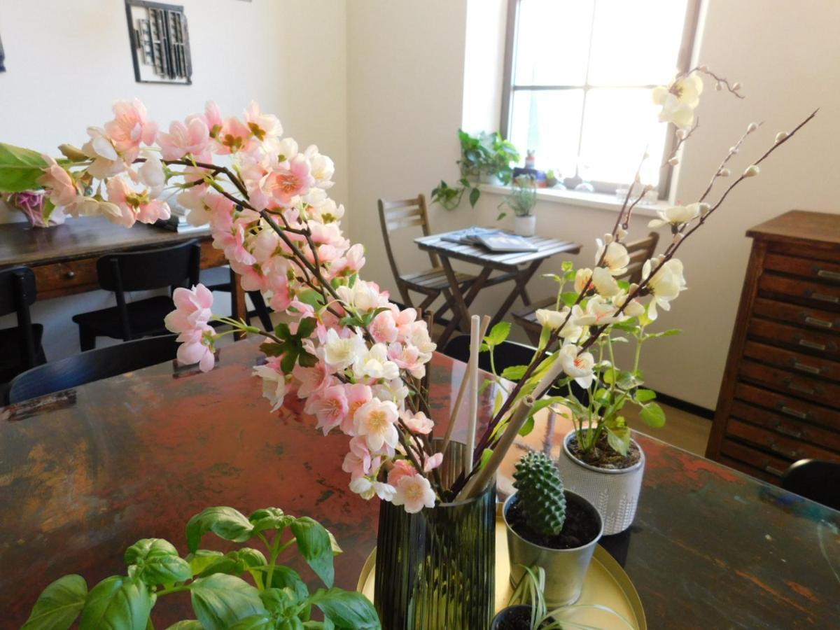 Piumaviola Beds & Apartments Парма Екстериор снимка